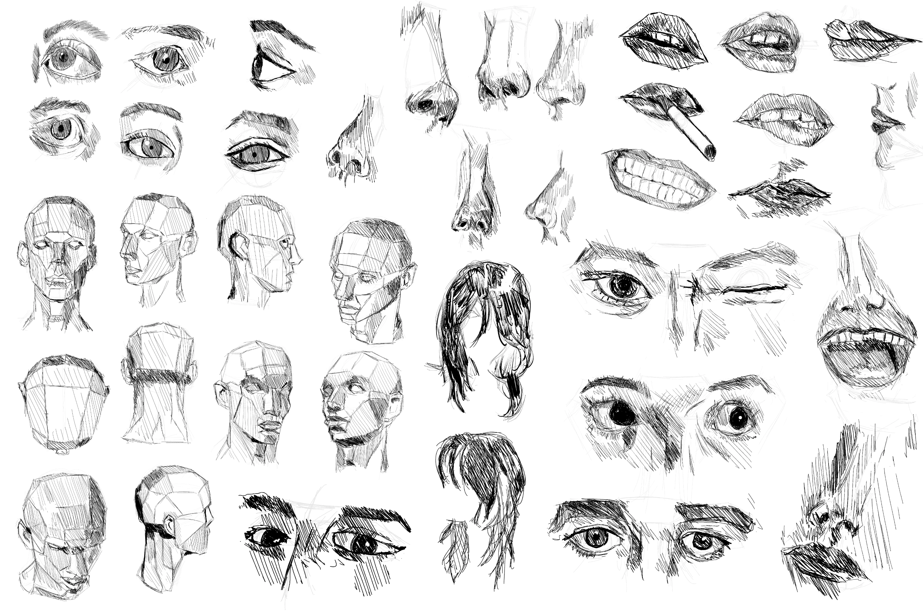 face parts drawing